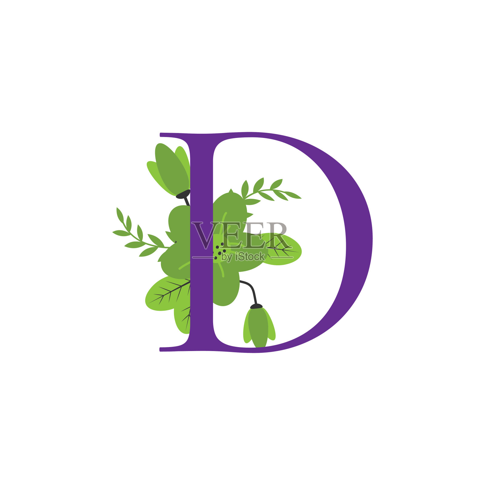 花字母初始矢量设计设计元素图片