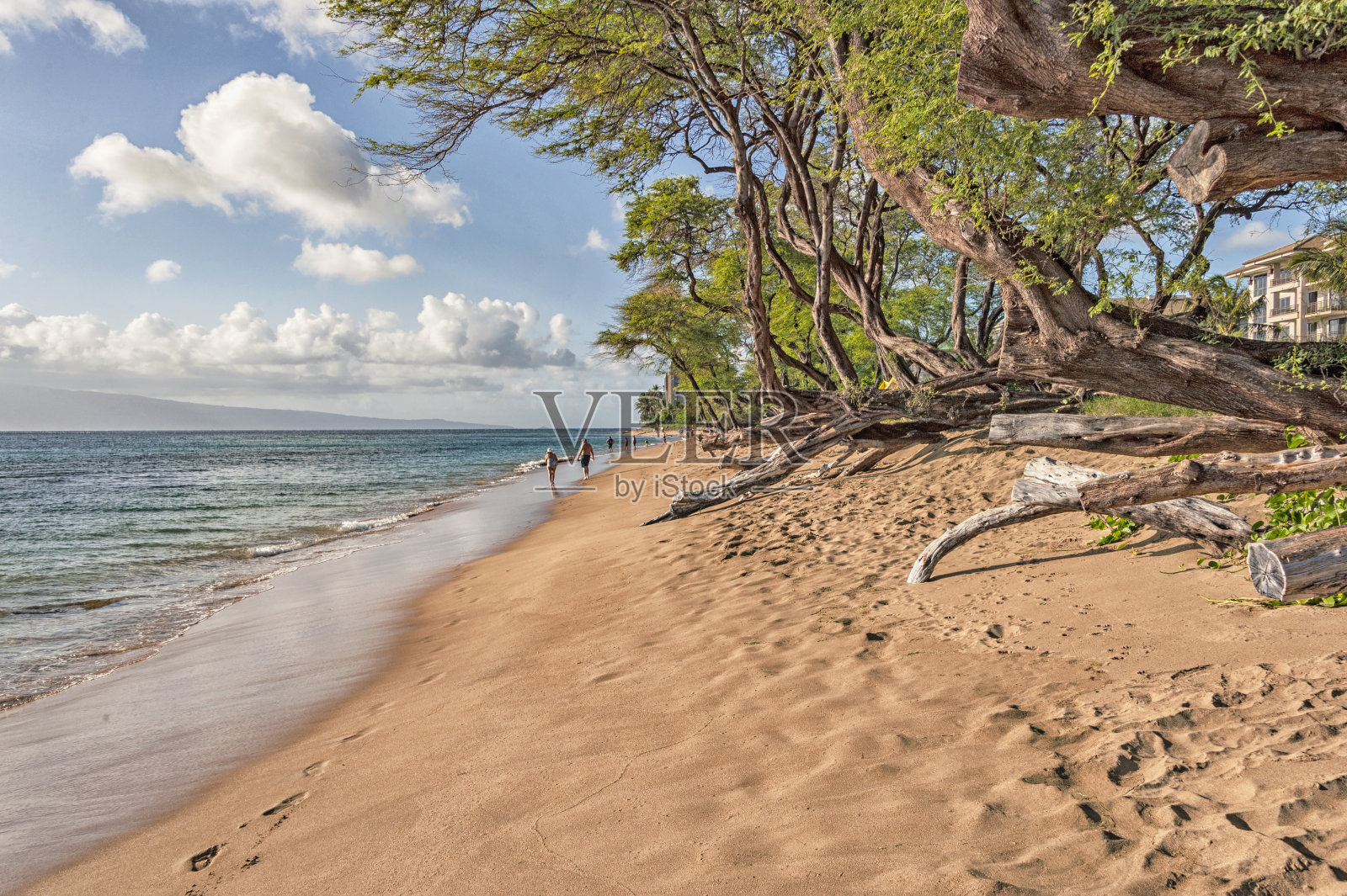 有台阶和游客的毛伊岛海滩照片摄影图片
