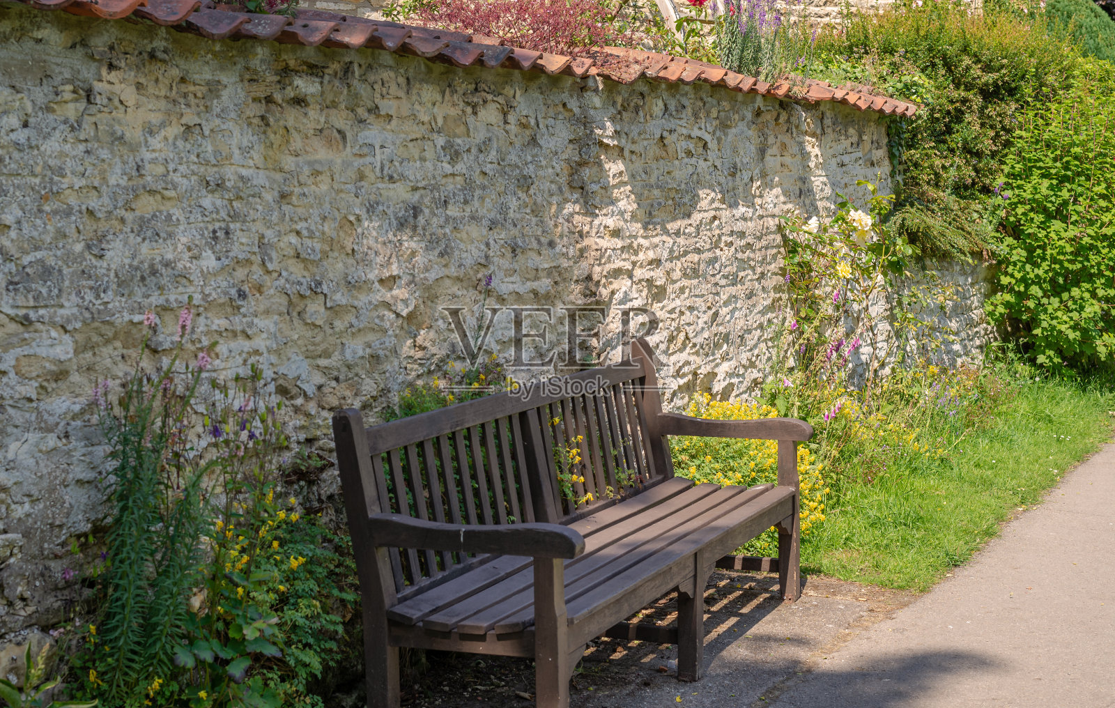 坐在阴凉处。照片摄影图片