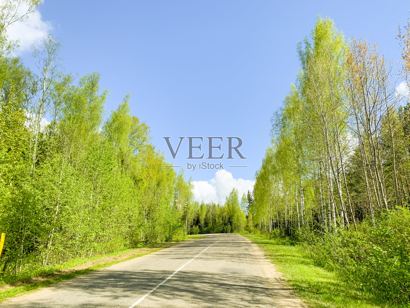 在阳光明媚的日子里,绿树之间的道路。照片摄影图片