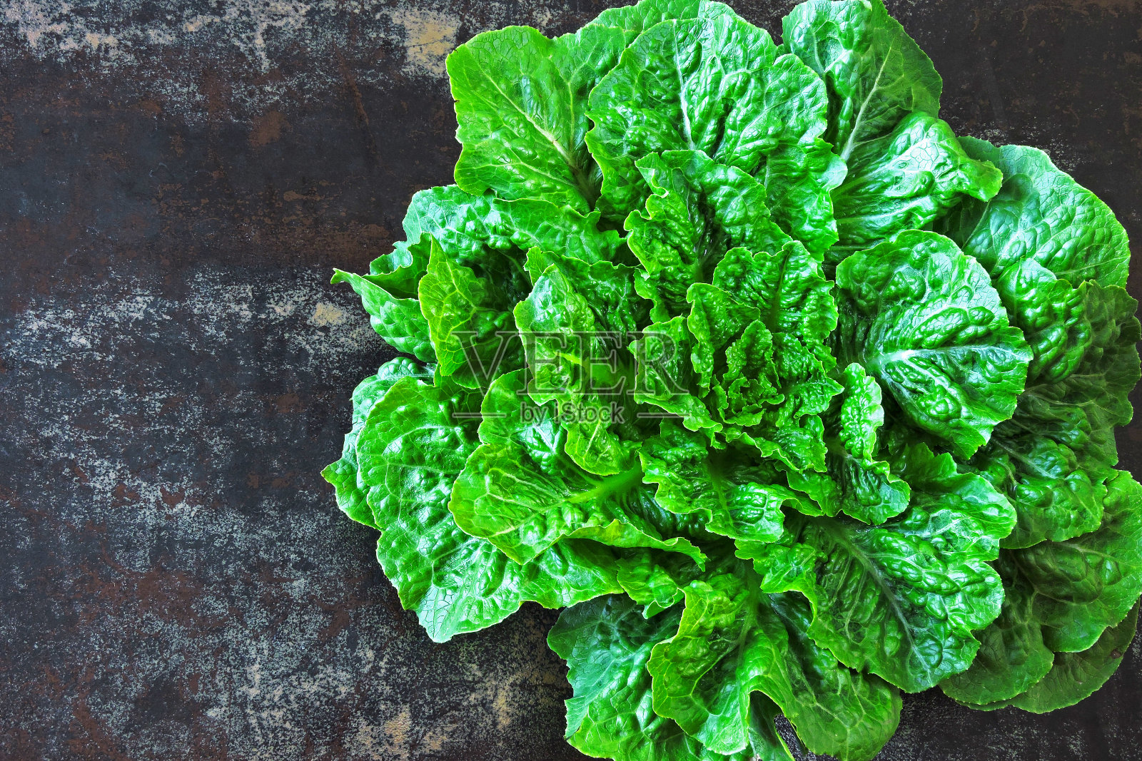 新鲜的绿色长叶莴苣。照片摄影图片