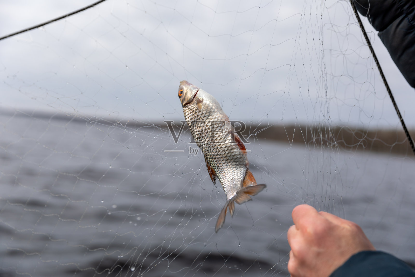 用渔网捕鱼手的特写镜头照片摄影图片