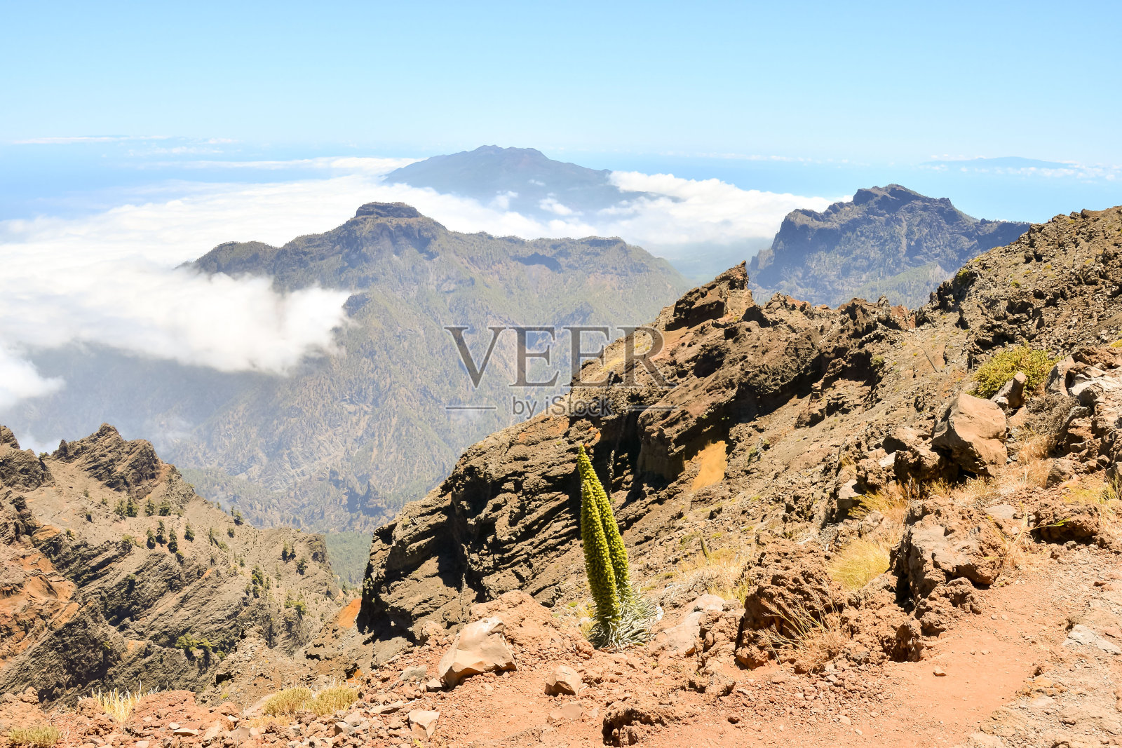 加那利群岛的山谷照片摄影图片