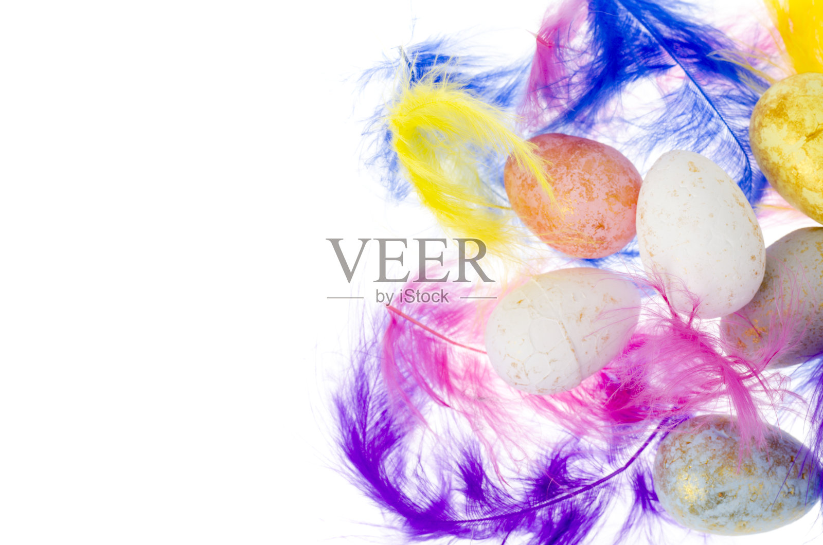 在白色背景上装饰彩色的蛋和羽毛照片摄影图片