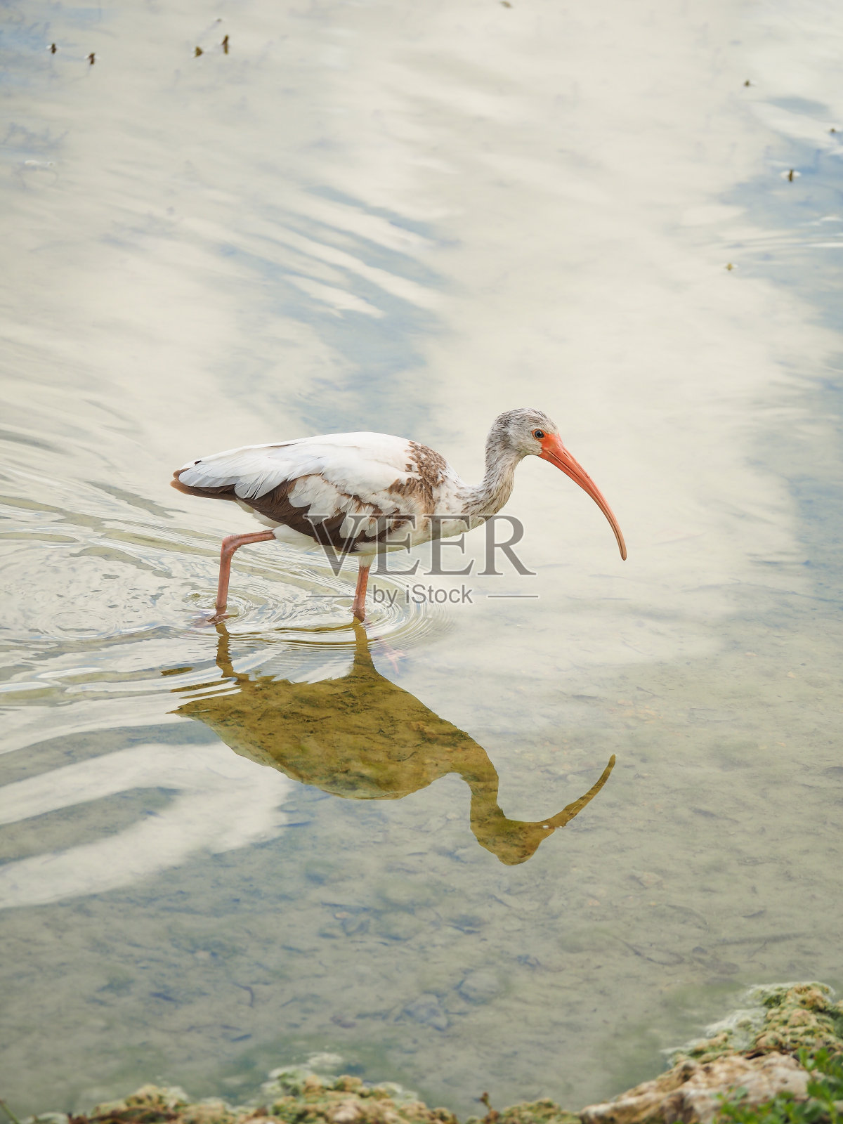 跟踪照片摄影图片