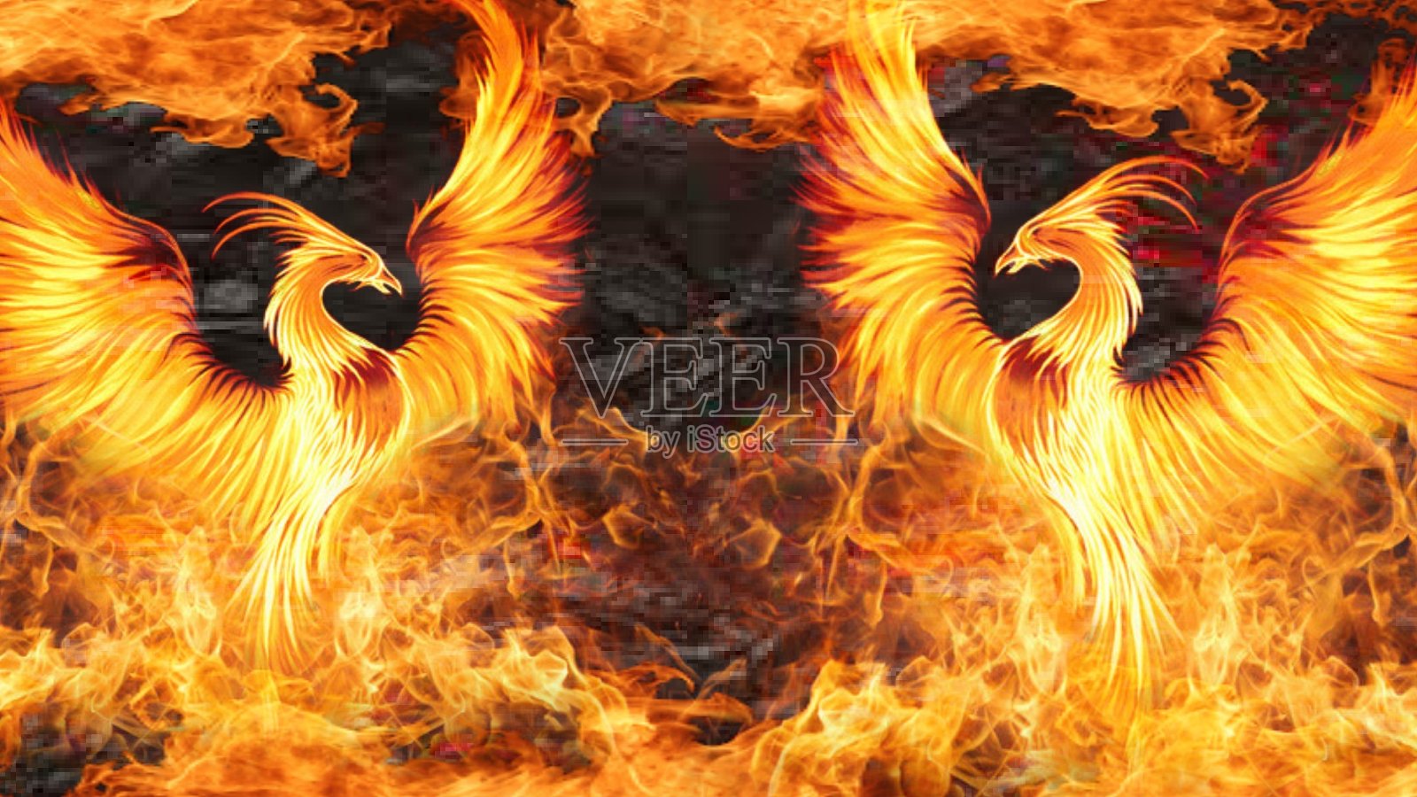 爬照片摄影图片