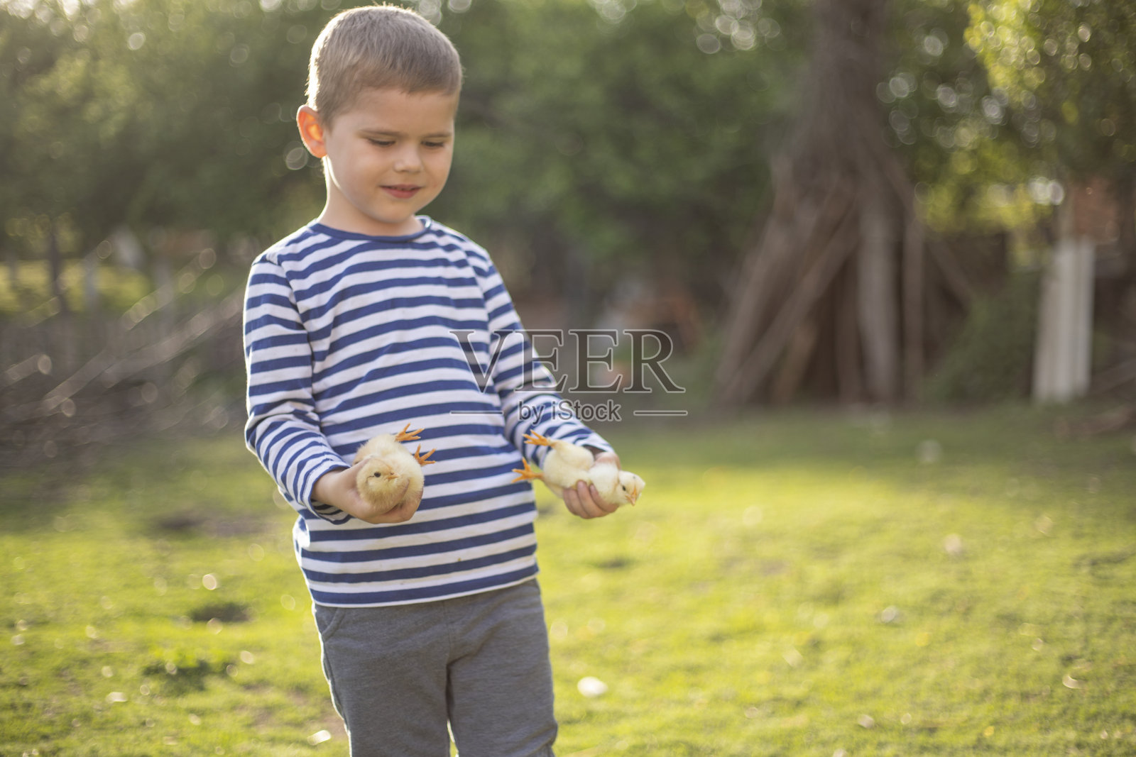 小农民照片摄影图片