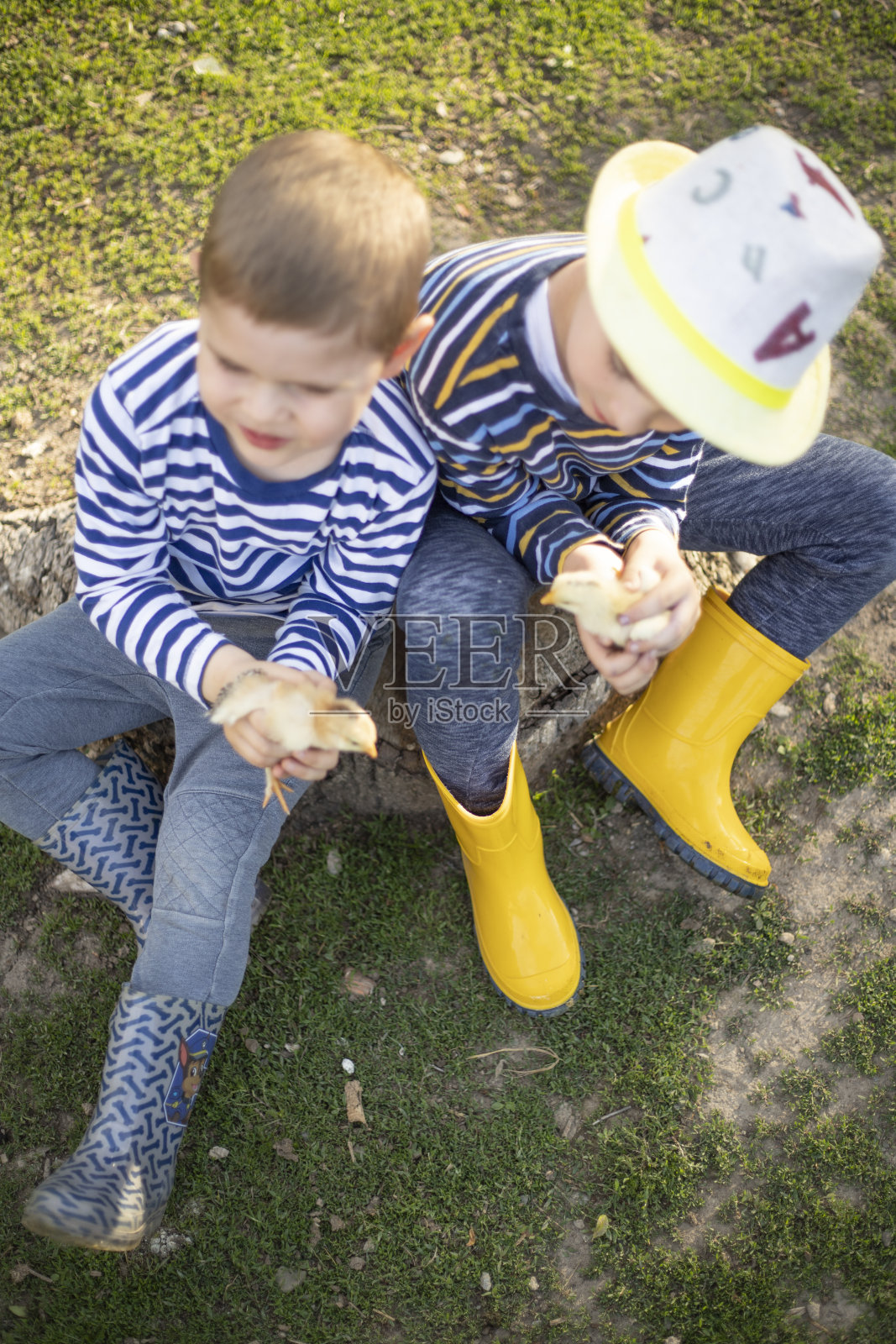 动物爱好者照片摄影图片