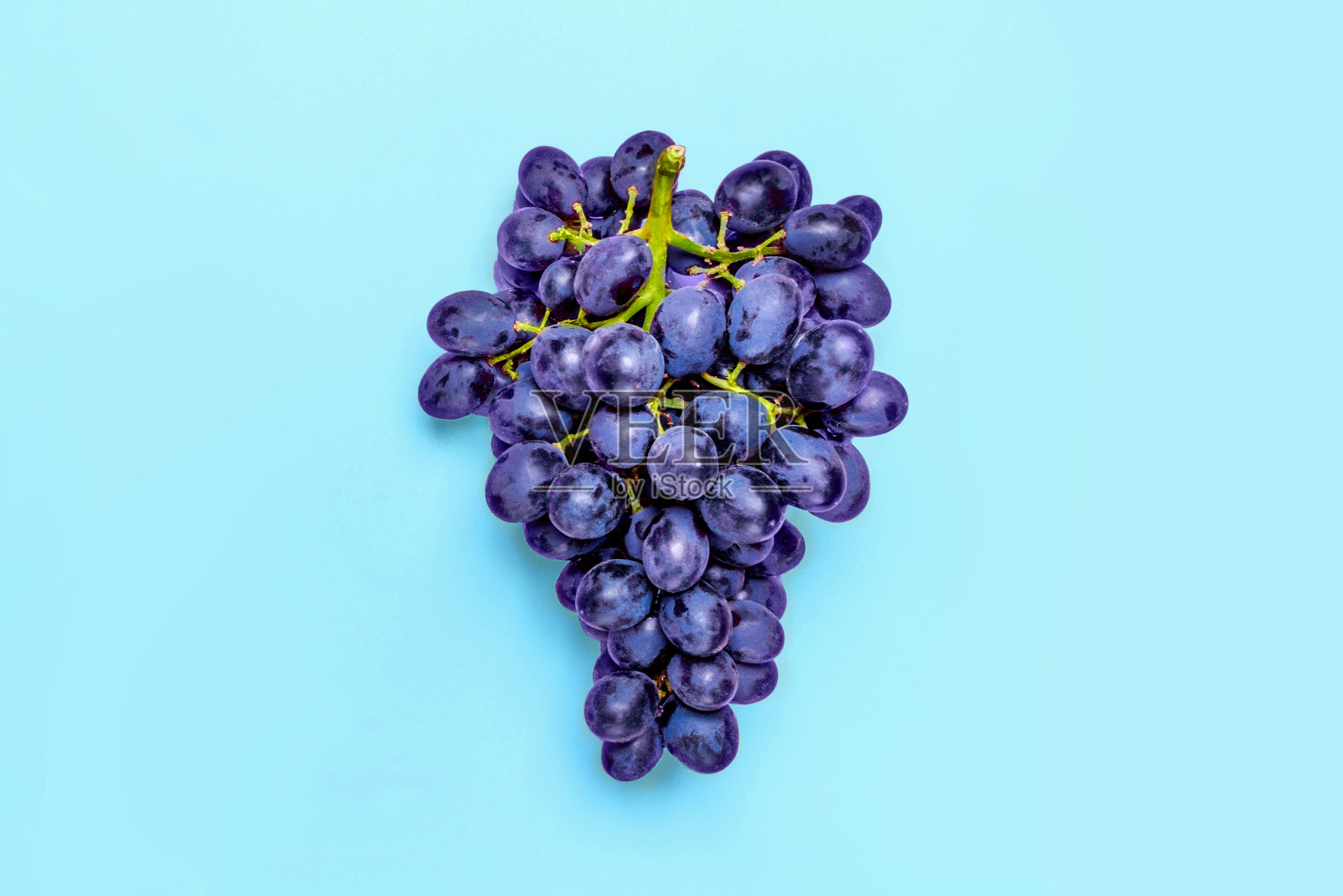 天然有机黑多汁葡萄在趋势粉色千禧一代背景上俯视图平坦Lay照片摄影图片