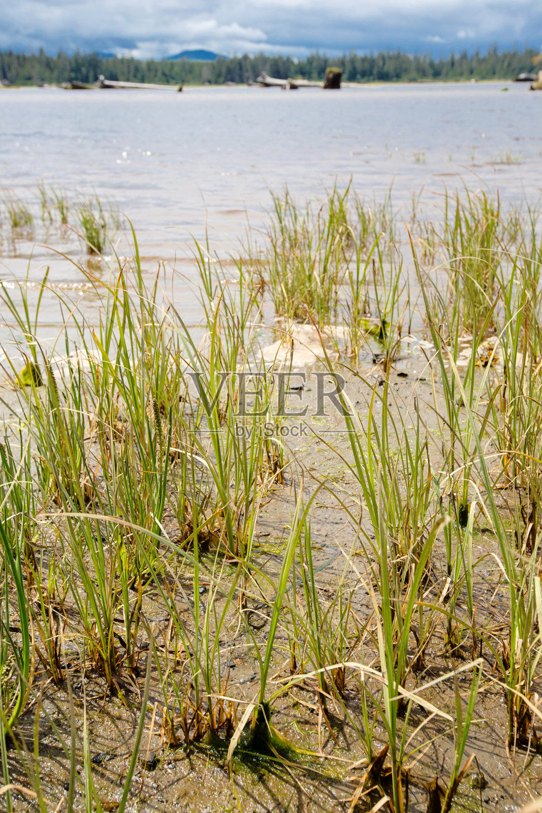 雅昆湾照片摄影图片