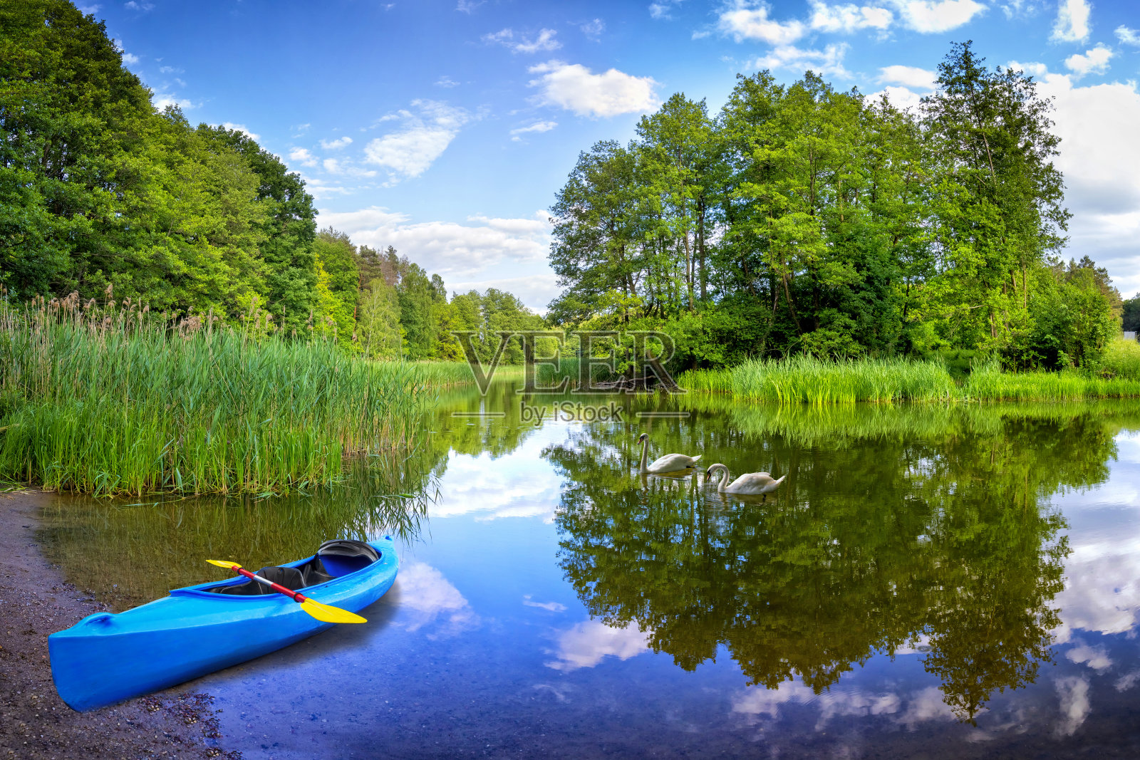 在波兰度假-在德拉瓦河上划皮划艇照片摄影图片