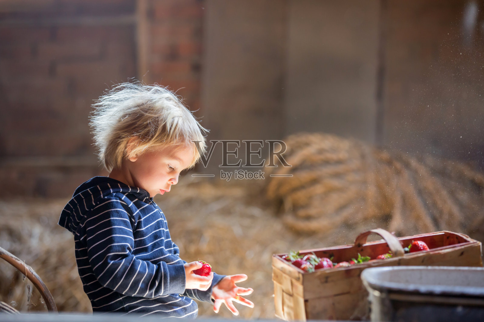 金发小男孩,在阁楼上看书,气氛不错,草莓照片摄影图片