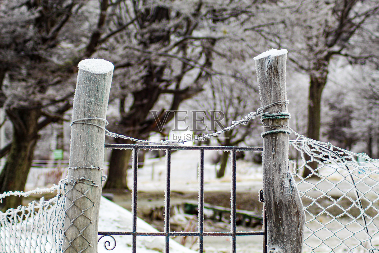 冬天的风景照片摄影图片