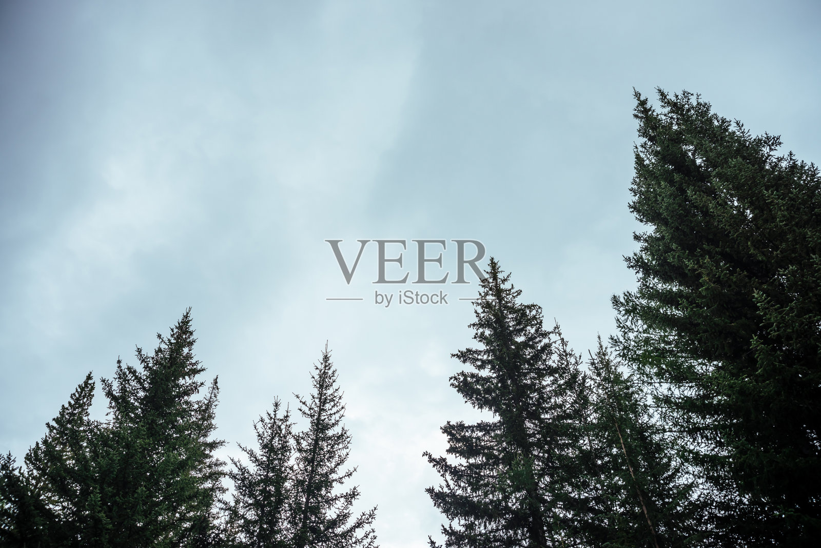 自然照片摄影图片