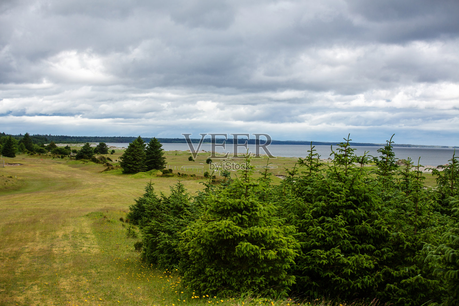 海达瓜依海岸线照片摄影图片