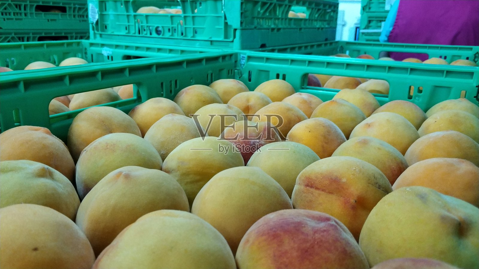 黄色的桃子照片摄影图片