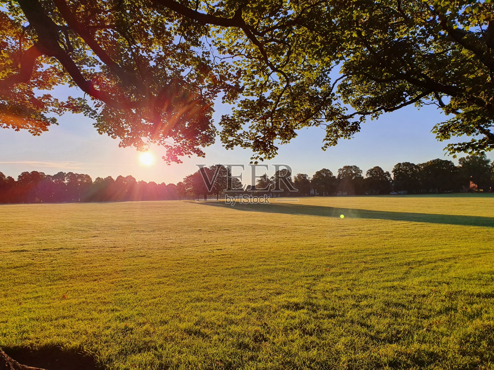 黎明3照片摄影图片