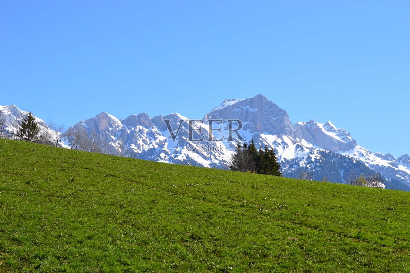 玛丽亚·阿尔姆照片摄影图片