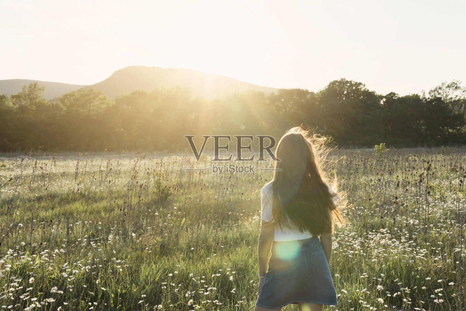 美丽的肖像一个长头发的小女孩享受大自然的户外,在田野上的雏菊。风吹着女孩的长发。美丽的年轻女孩的背影特写照片摄影图片