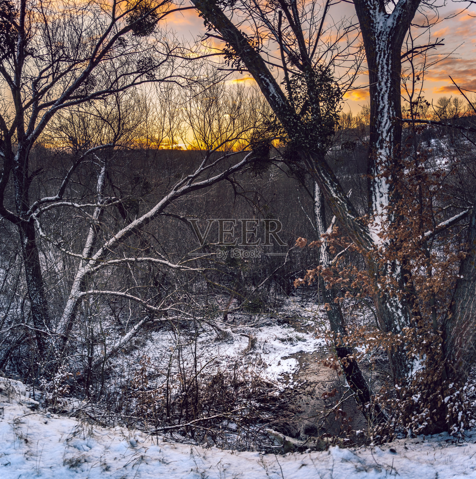河上冬日的日出照片摄影图片