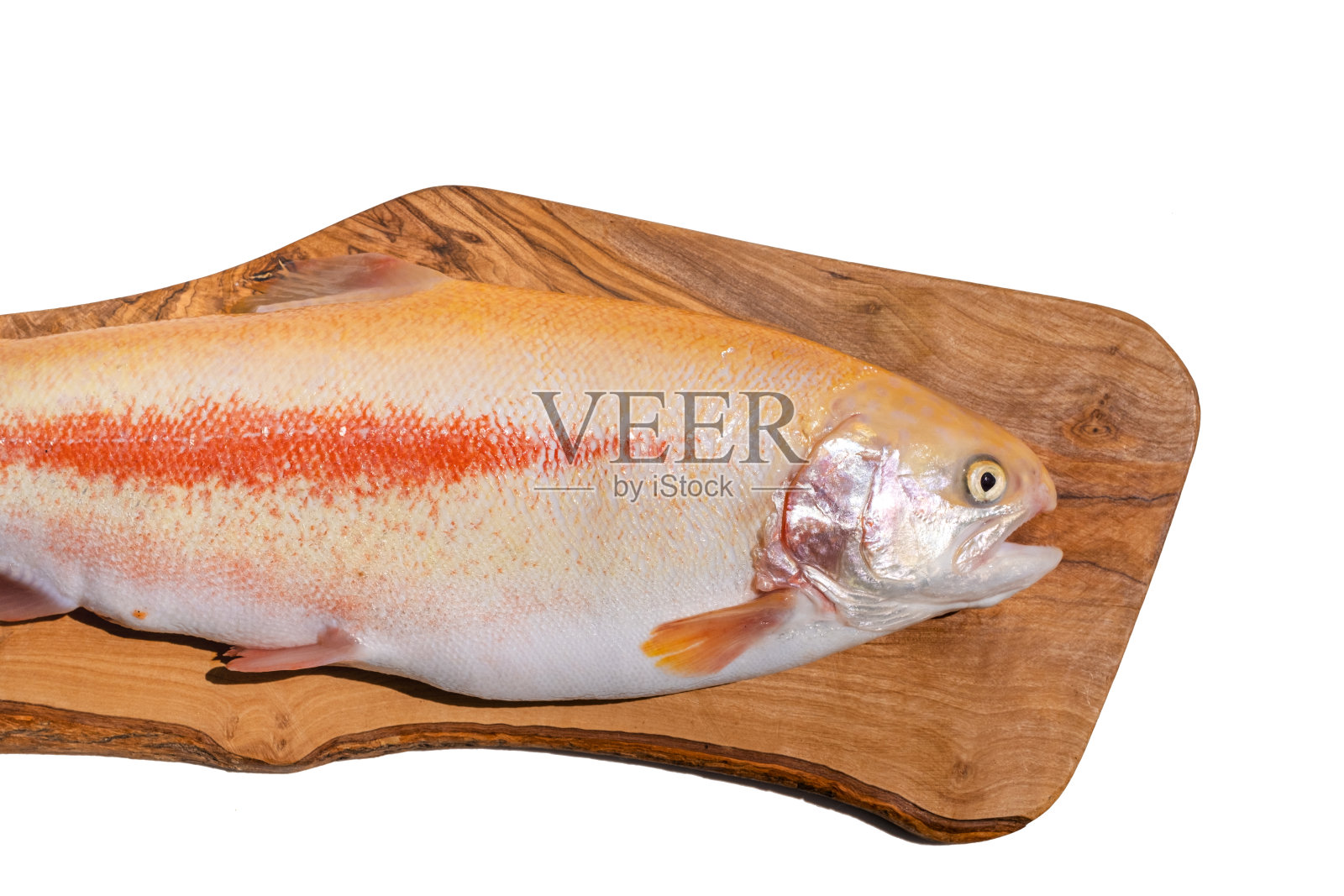 新鲜的整条金虹鳟鱼放在砧板上,白色背景,俯视图。照片摄影图片