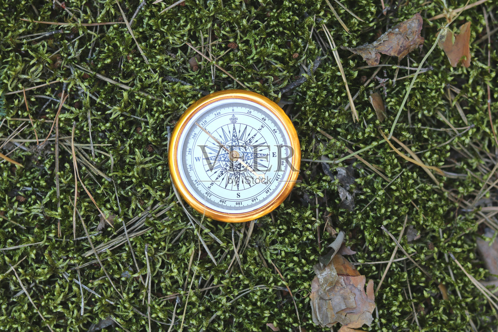 自然背景上的经典指南针照片摄影图片
