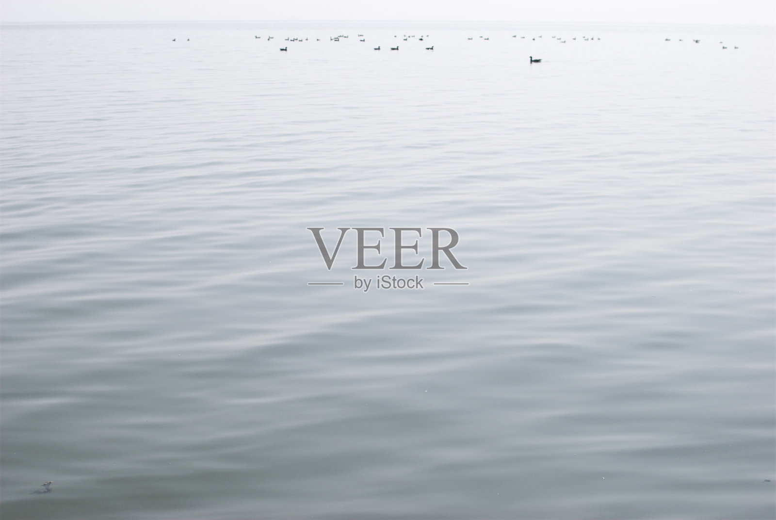 平静的海照片摄影图片