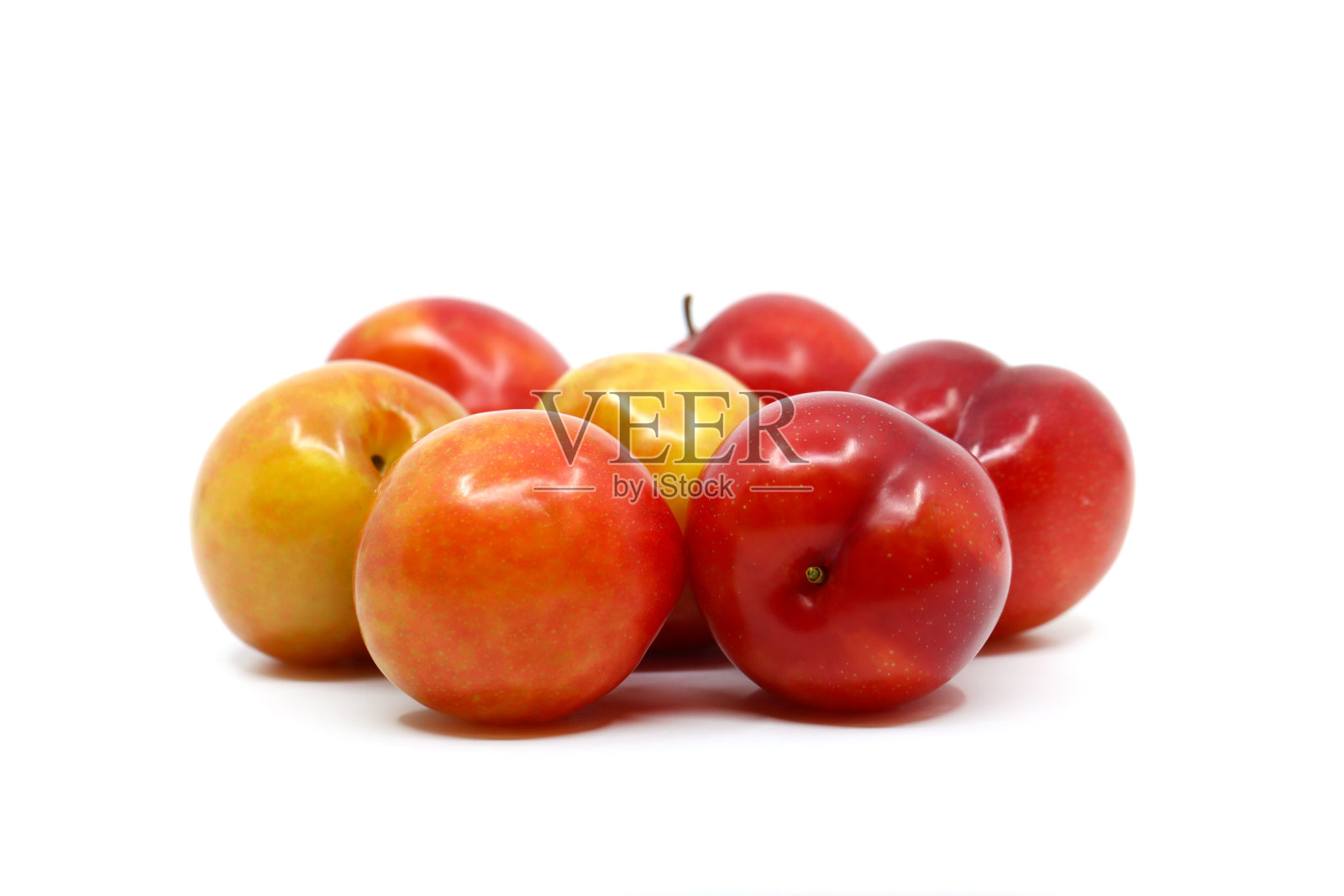 各种各样的李照片摄影图片