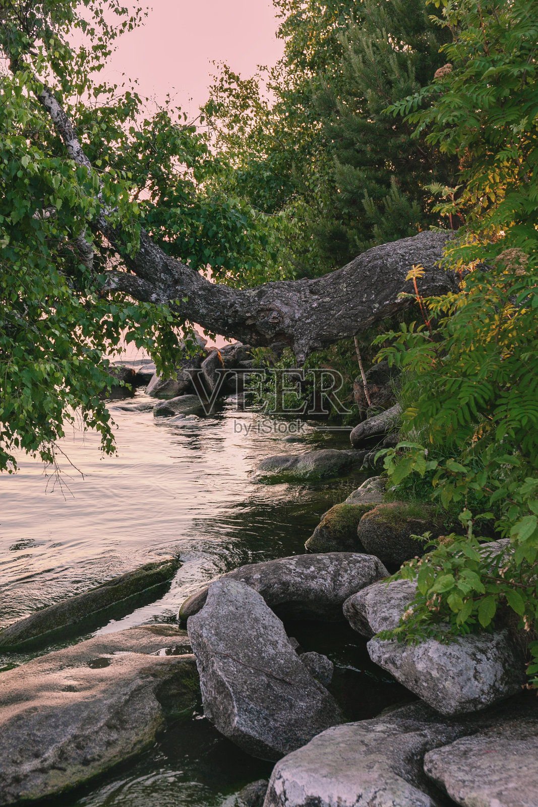 黄昏的湖景照片摄影图片