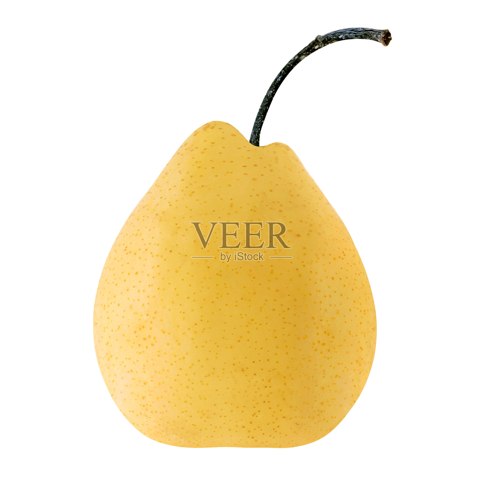 梨子果实孤立在白色背景上照片摄影图片