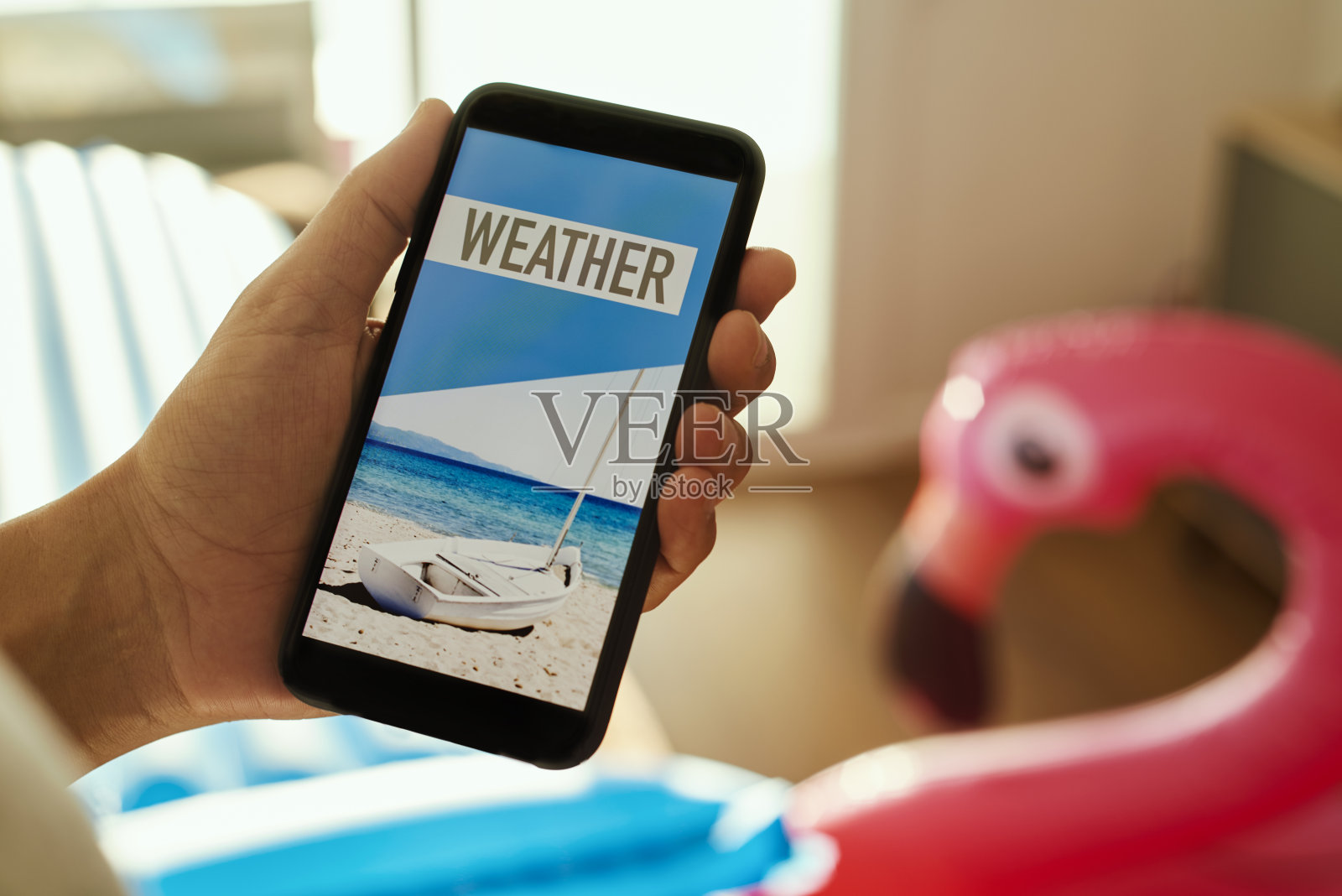 用智能手机发送天气预报照片摄影图片