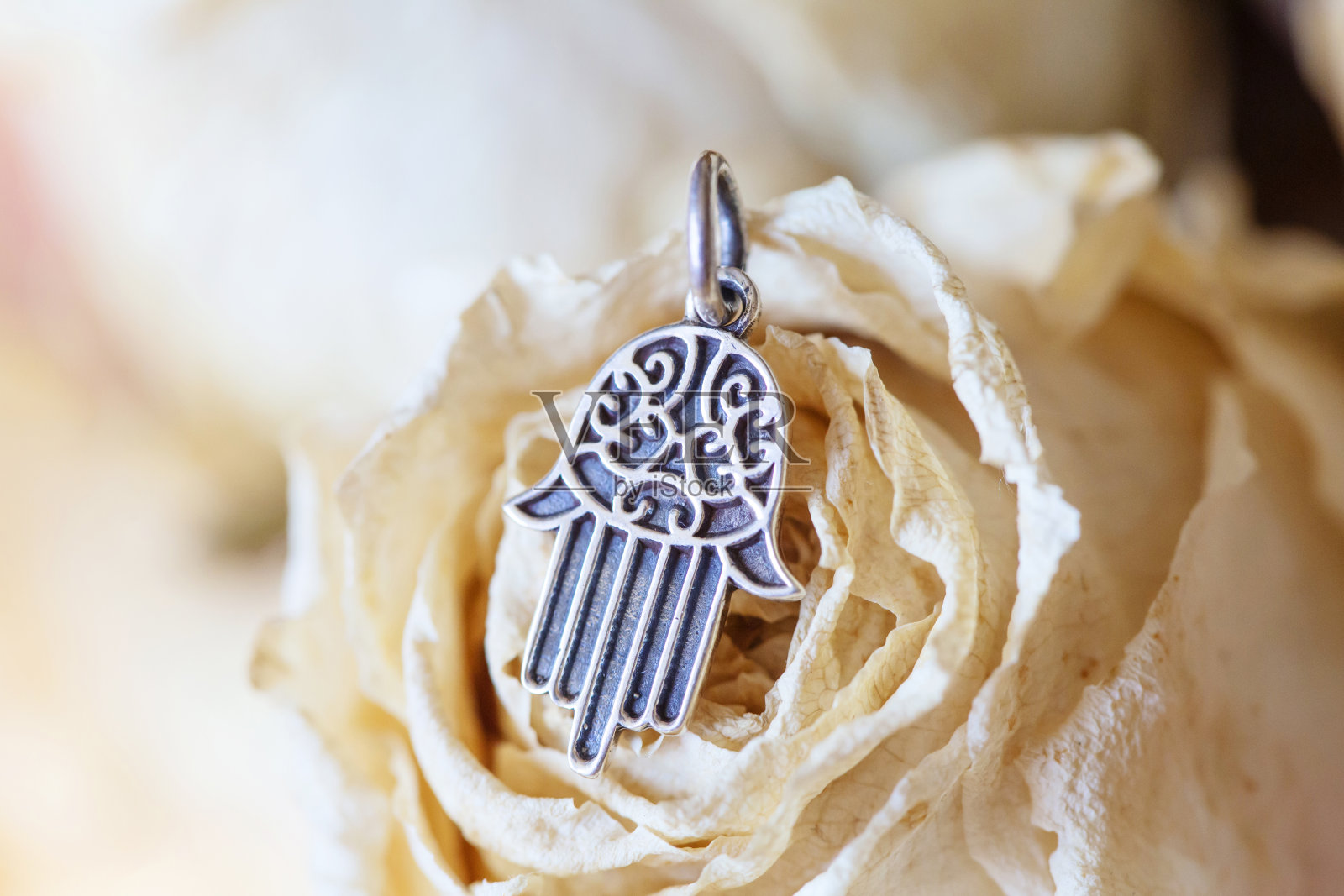 在照片摄影图片