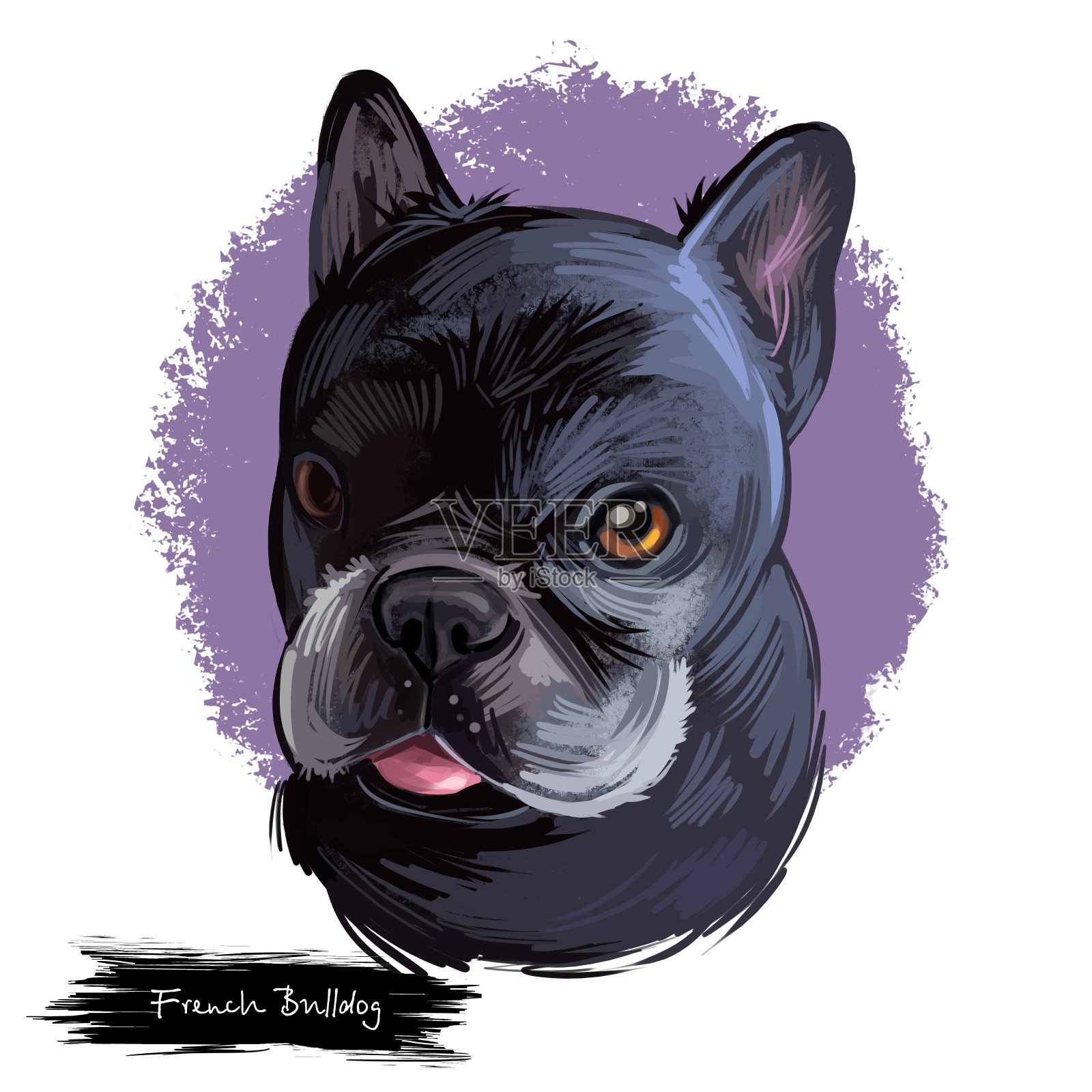 法国斗牛犬犬种数字艺术插图孤立的白色。流行的小狗肖像与文本。可爱的宠物手绘肖像。平面剪贴艺术设计插画图片素材