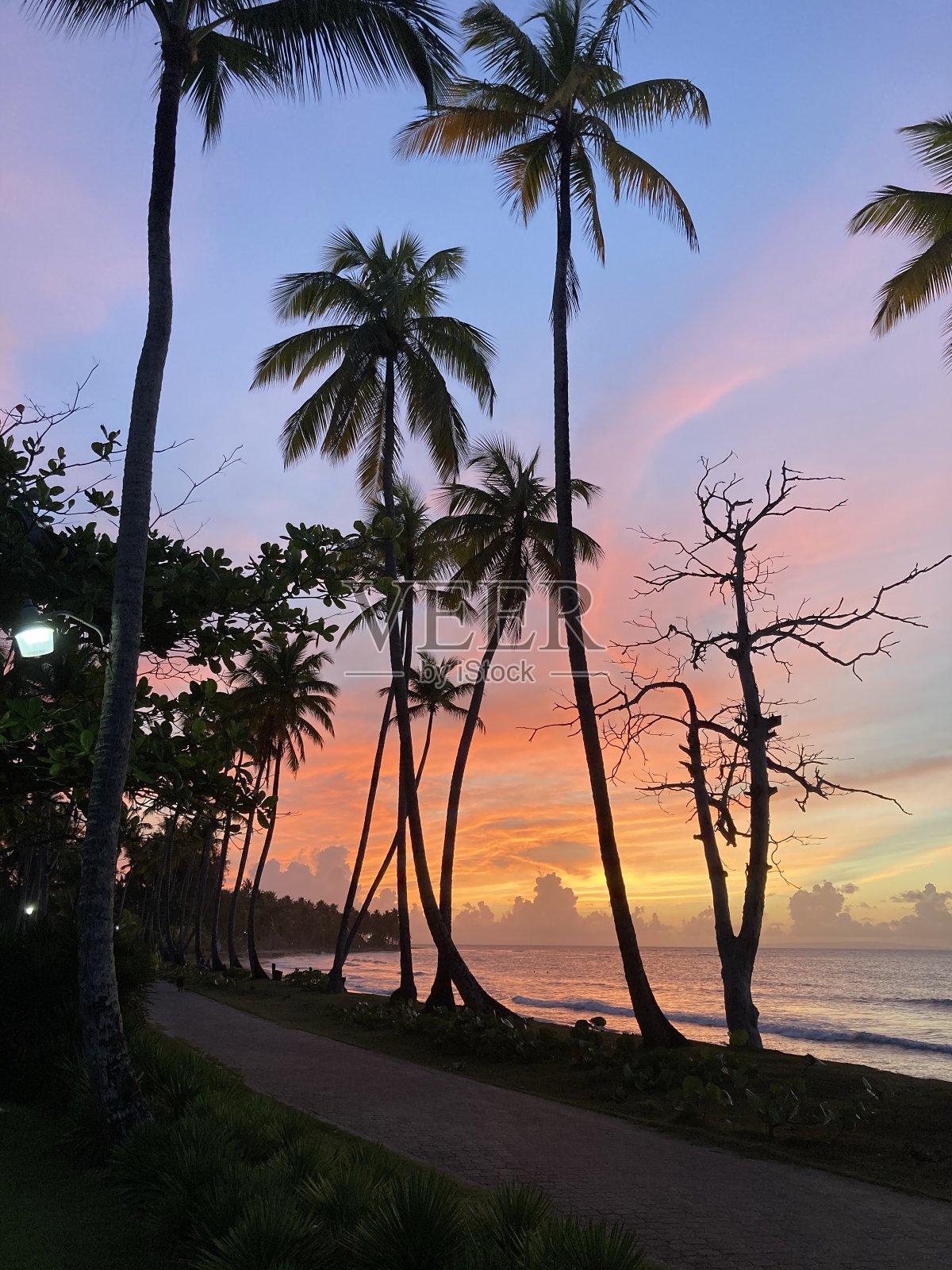 加勒比的黎明照片摄影图片