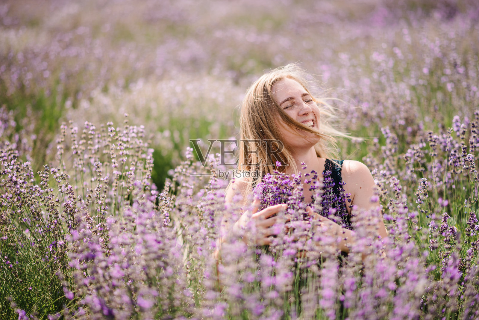 美丽的女孩穿着紫色的衣服在薰衣草的田野。美丽的女人走在薰衣草田里。女孩收集薰衣草。享受林间花香,夏日自然。天然化妆品和生态化妆理念。照片摄影图片