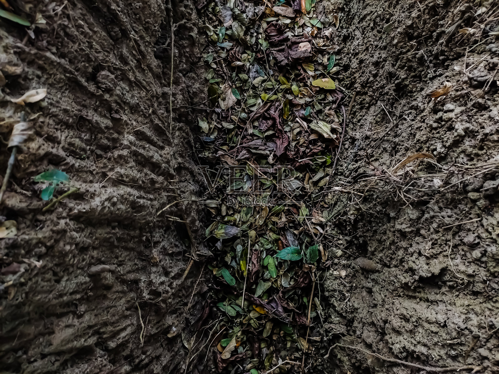 这是一条夏天干涸的旧排水沟。下水道里有很多干树叶。照片摄影图片