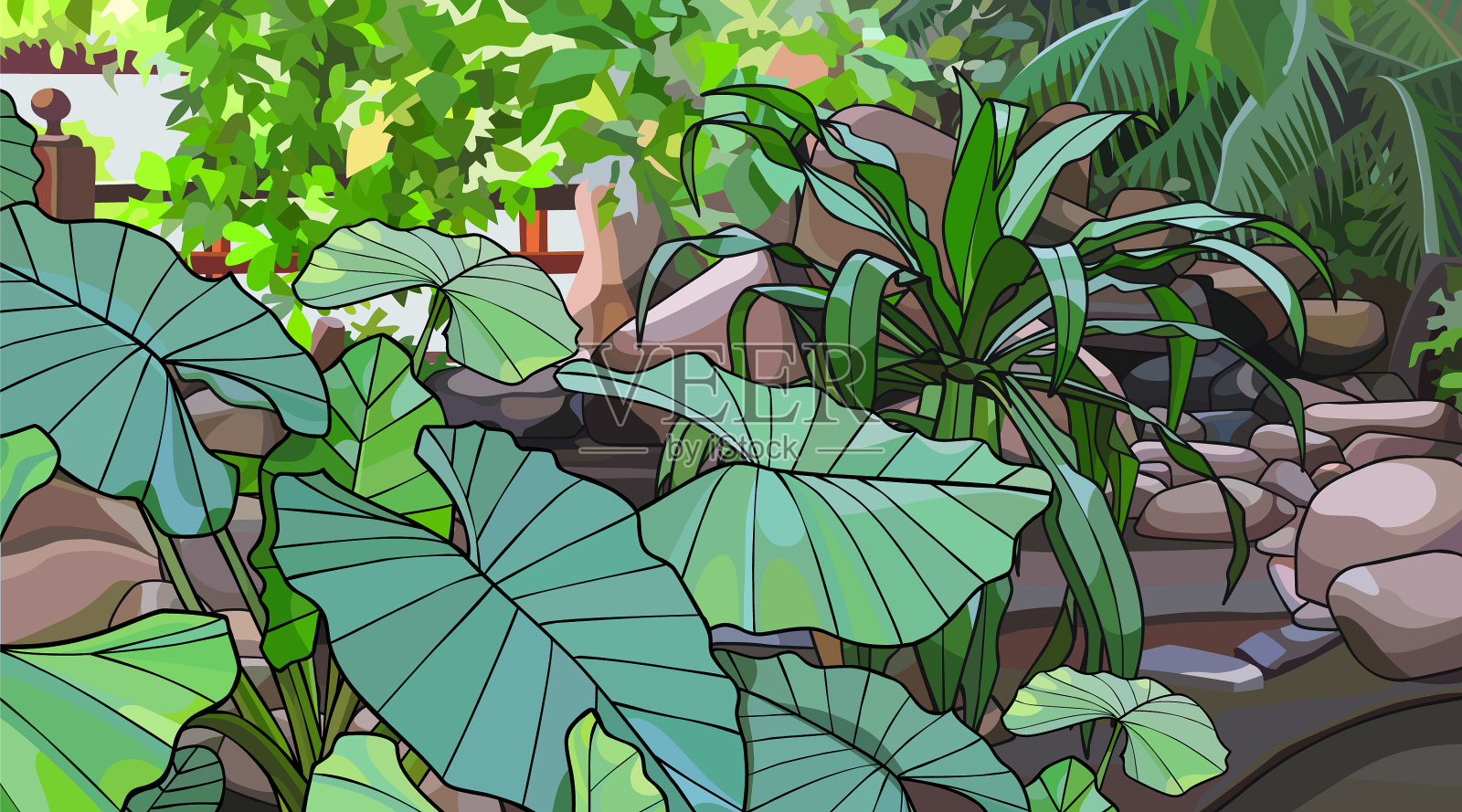 背景有茂密的丛林热带绿色插画图片素材