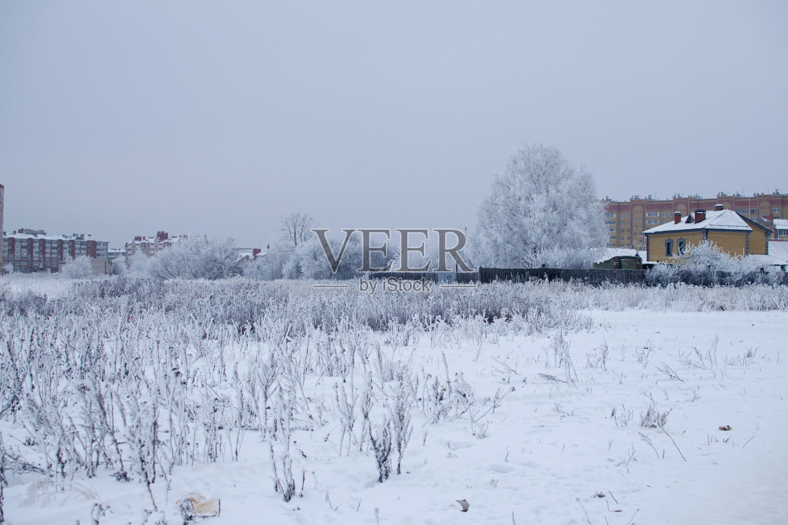 树枝上蓬松的雪。冬天的风景。冰和雪的纹理。照片摄影图片