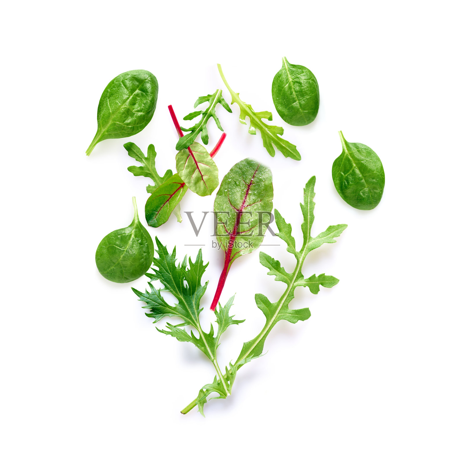 新鲜的沙拉叶照片摄影图片