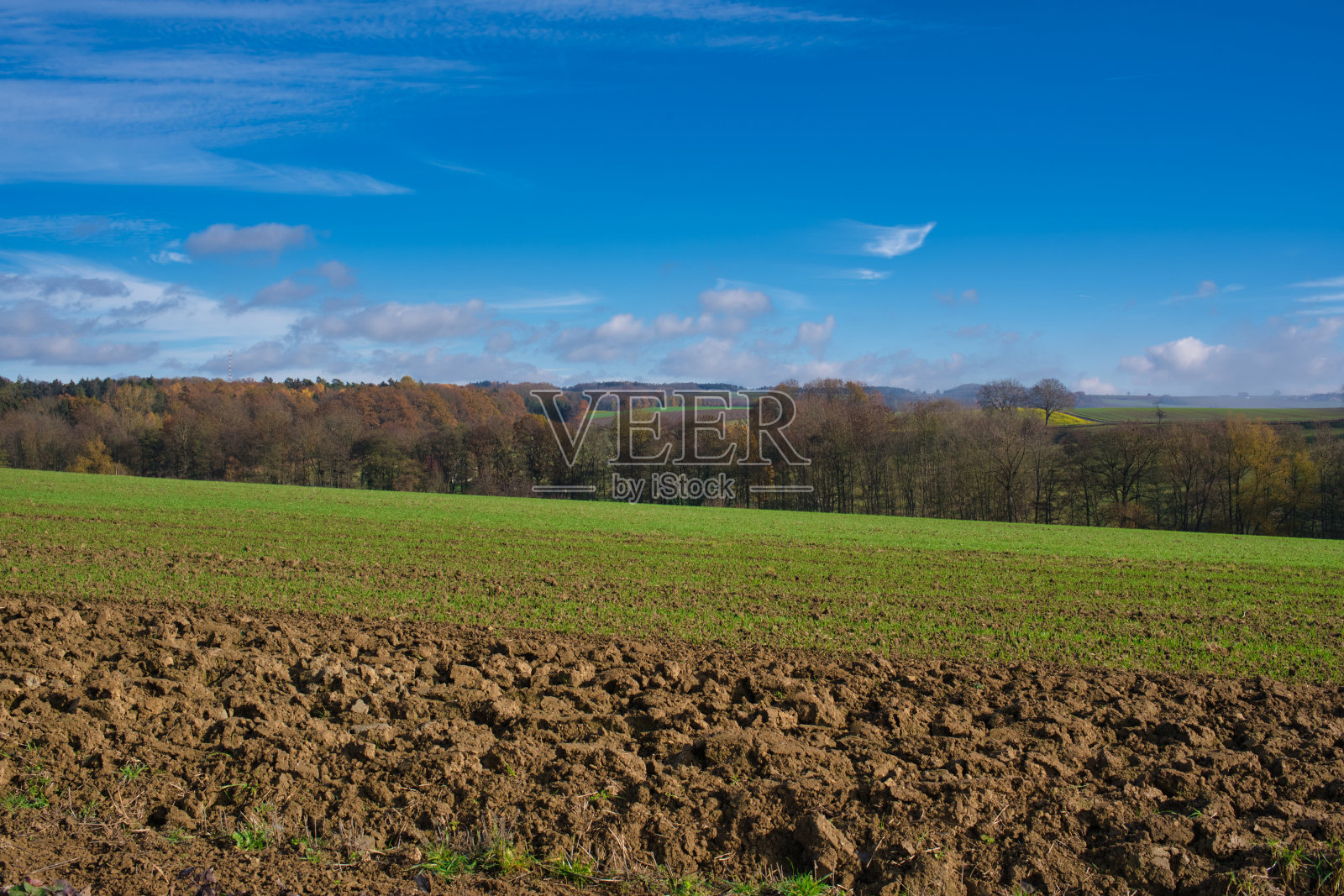 留茬地照片摄影图片