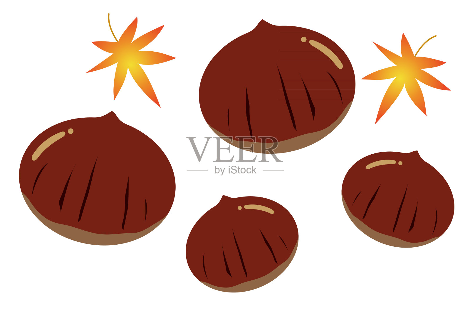 秋叶和栗子的插图。插画图片素材