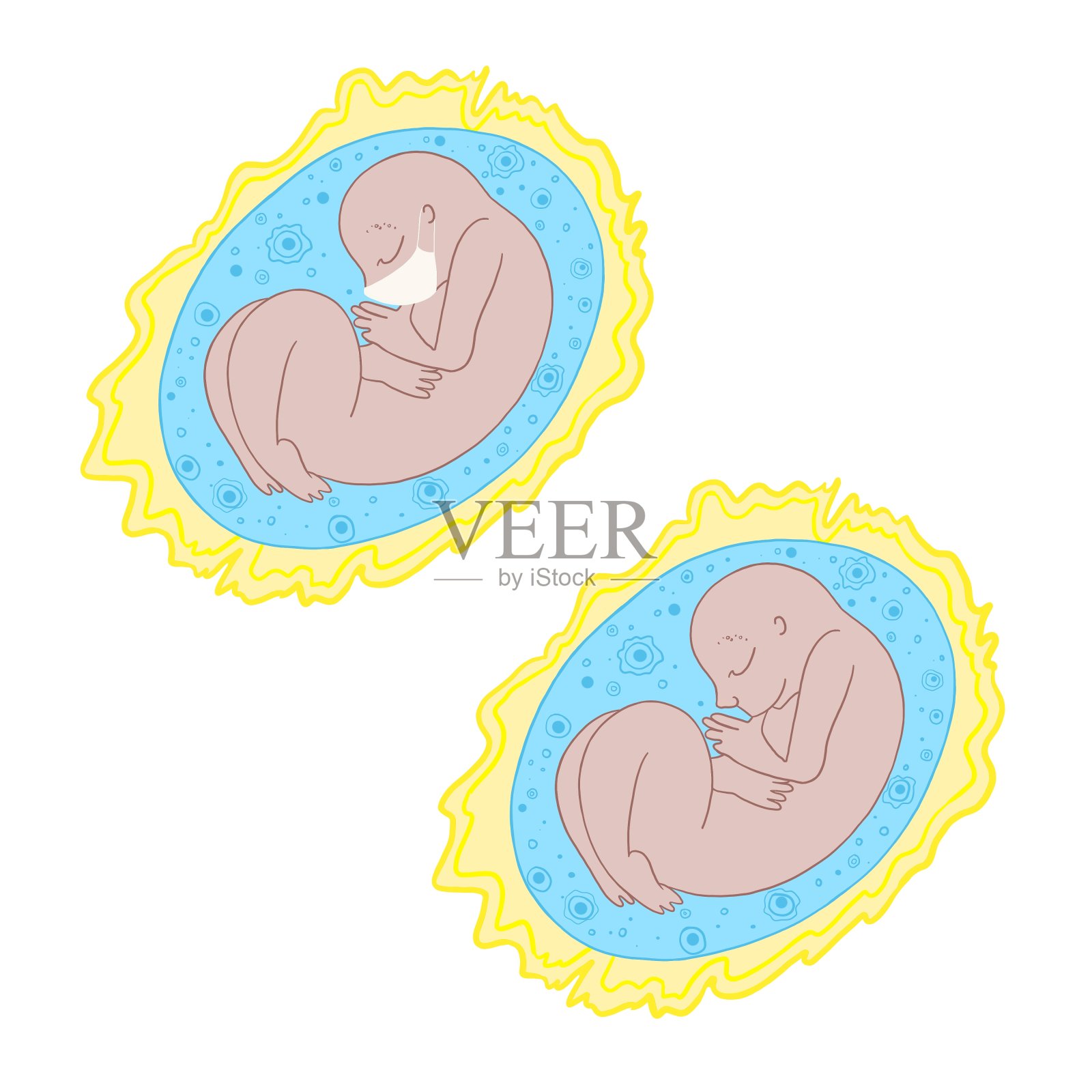 人类胚胎在一个医疗保护面罩插画图片素材