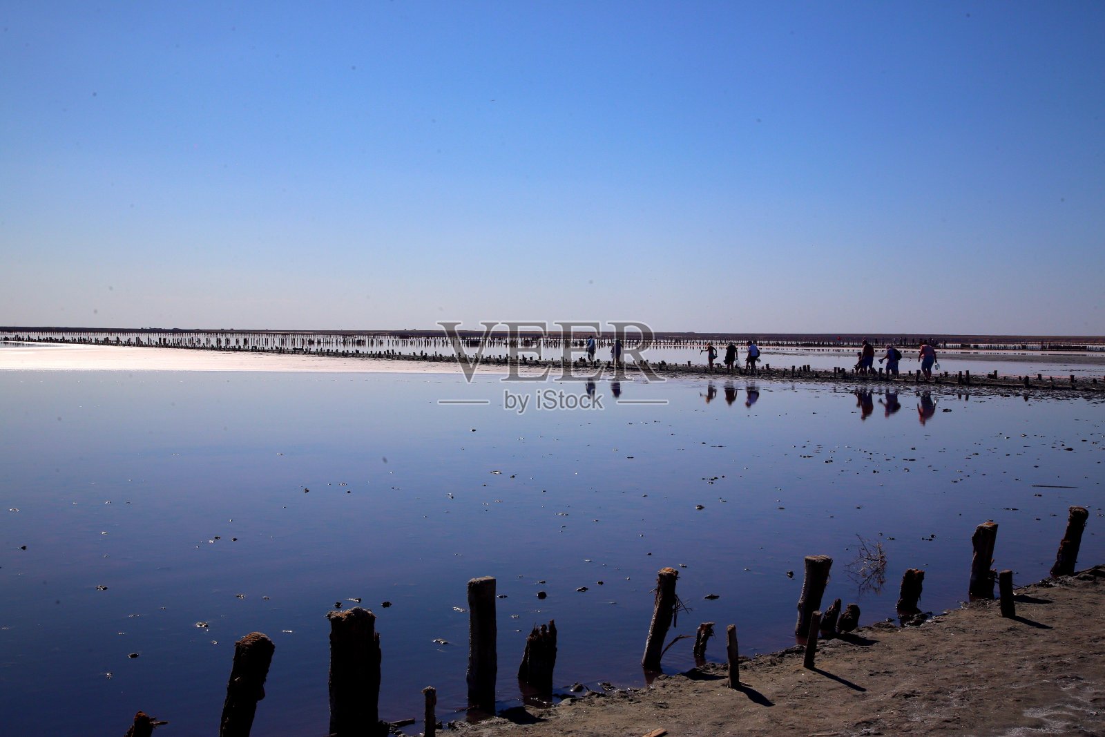 粉色湖或粉色盐湖照片摄影图片