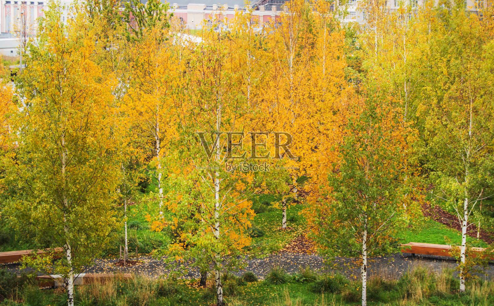 秋城公园以黄绿色树木为背景的房屋,观景至山顶照片摄影图片