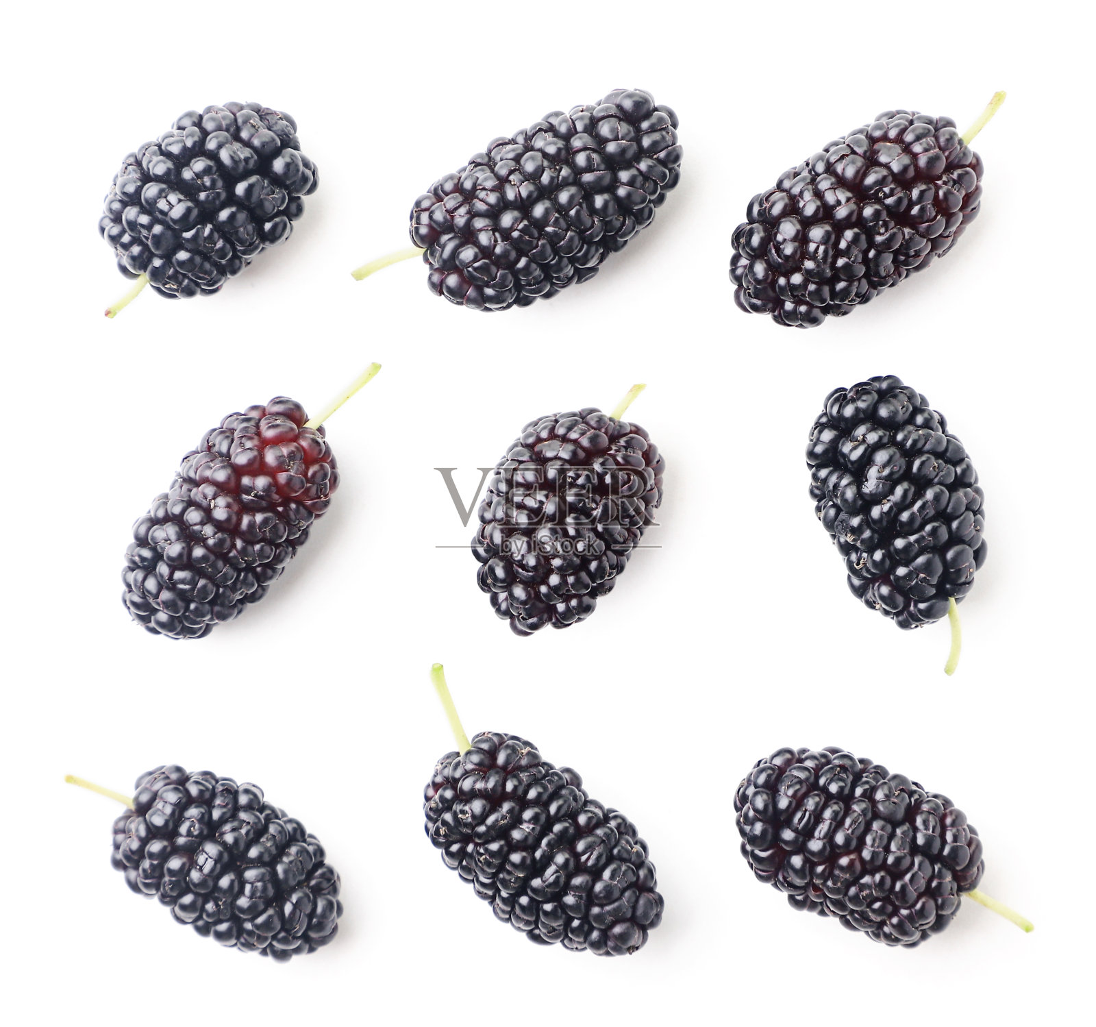 一组桑树在一个白色的背景,孤立。从上面看照片摄影图片