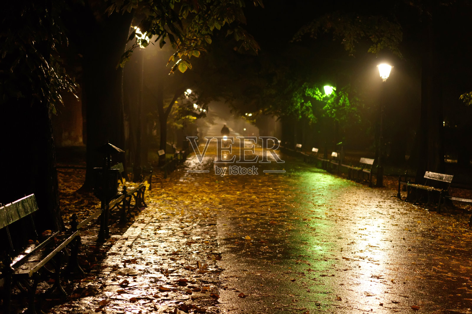 克拉科夫公园秋夜雨后。一名骑自行车的人在灯笼的灯光下沿着跑道骑行照片摄影图片