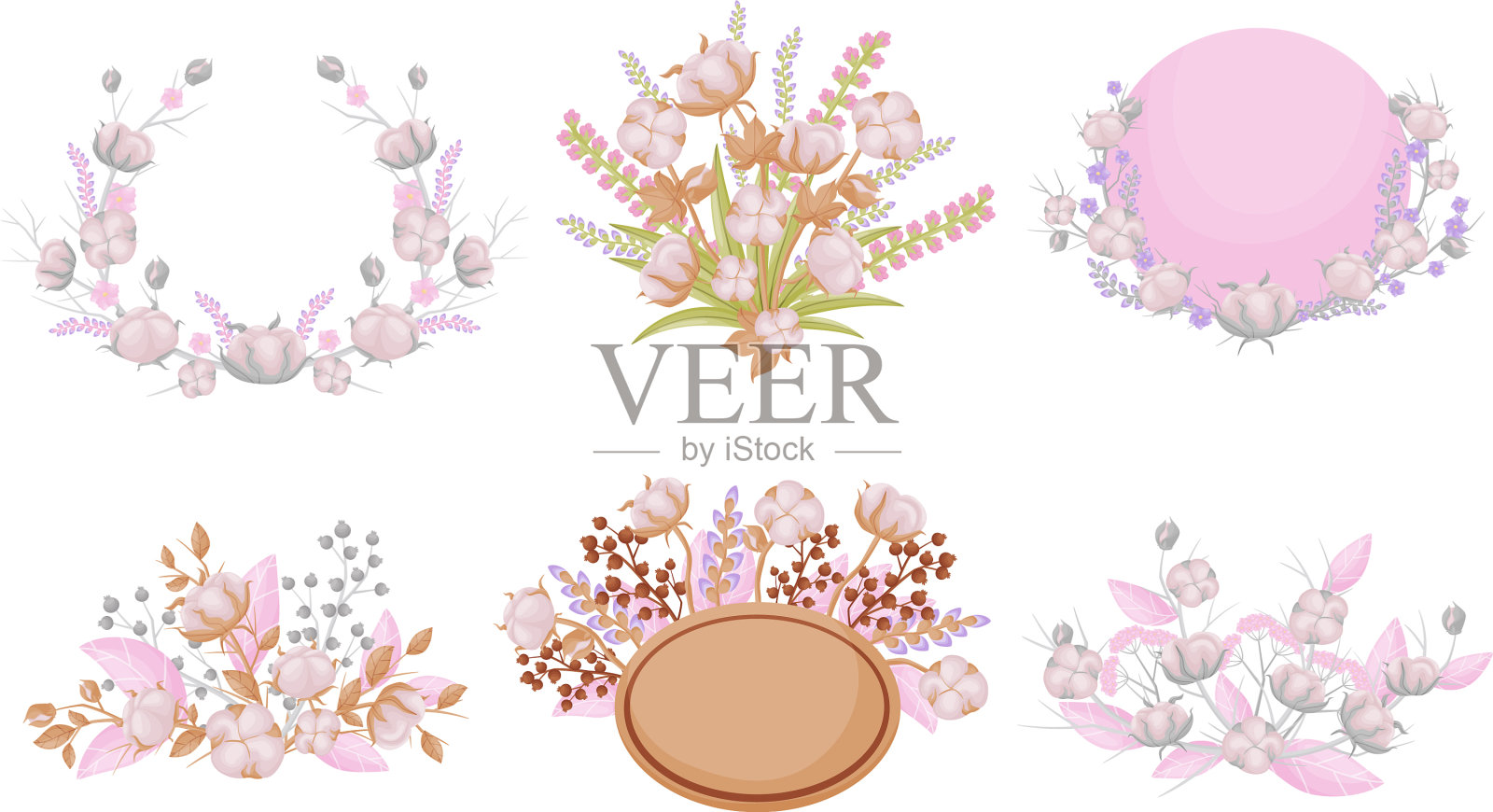 棉花组份与开花的芽和枝插画图片素材