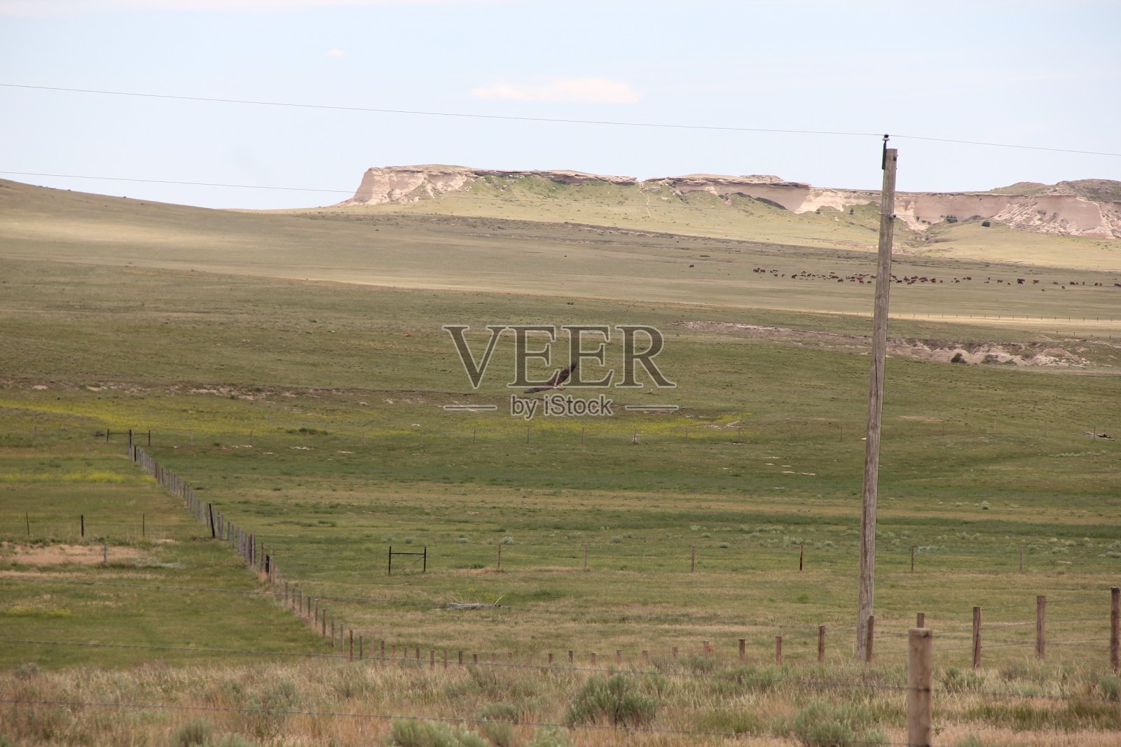 波尼国家草原照片摄影图片