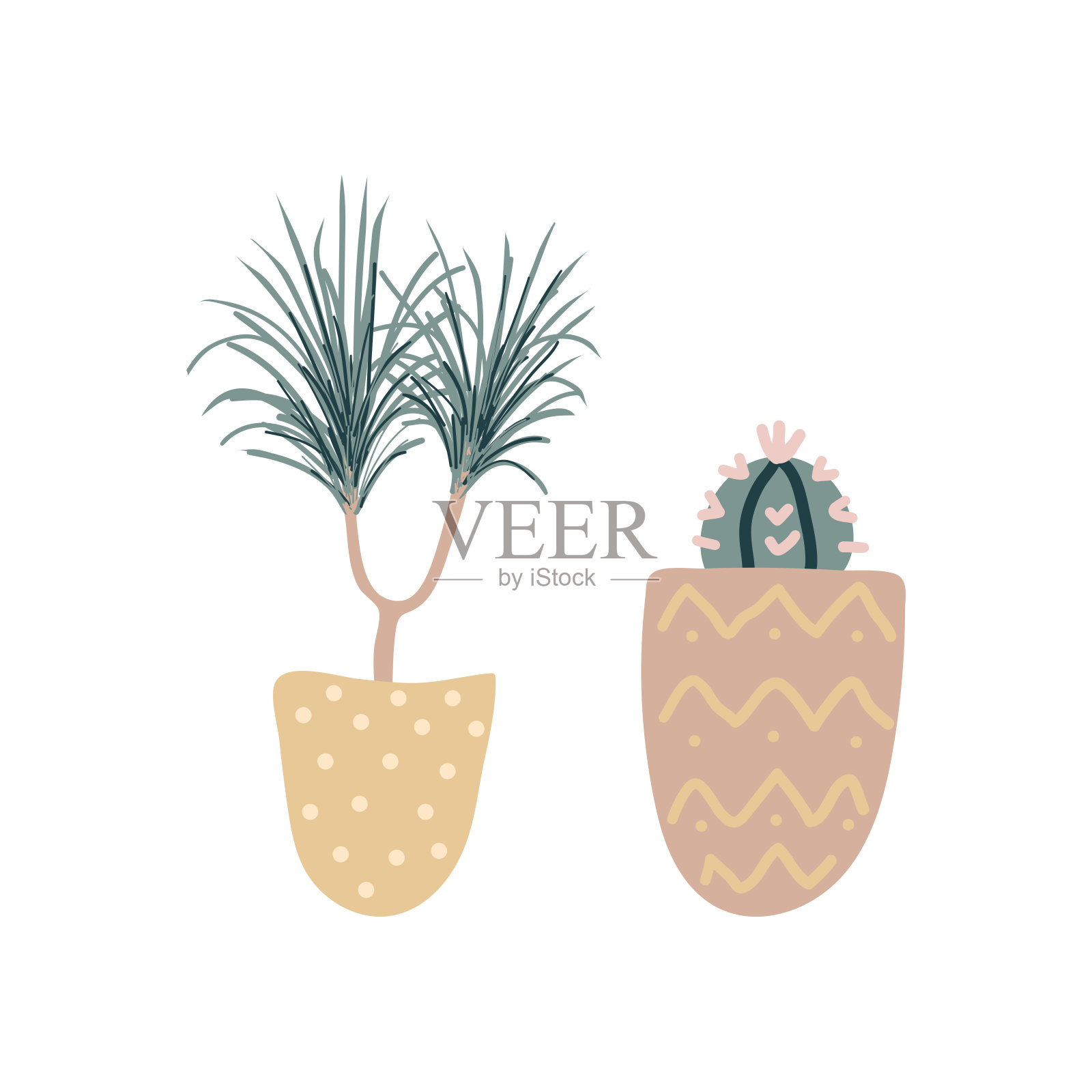 白色背景上孤立的装饰室内植物集合。一套美丽自然的家居装饰品。插画图片素材