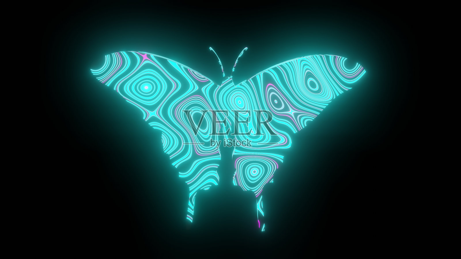 插图图形的美丽纹理或图案形成在蝴蝶的身体形状,孤立在黑色的背景。3d渲染抽象循环霓虹照明效果的蝴蝶。照片摄影图片
